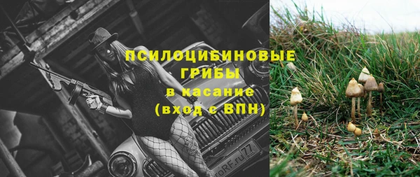 a pvp Горнозаводск